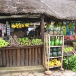 38-IMG_6970